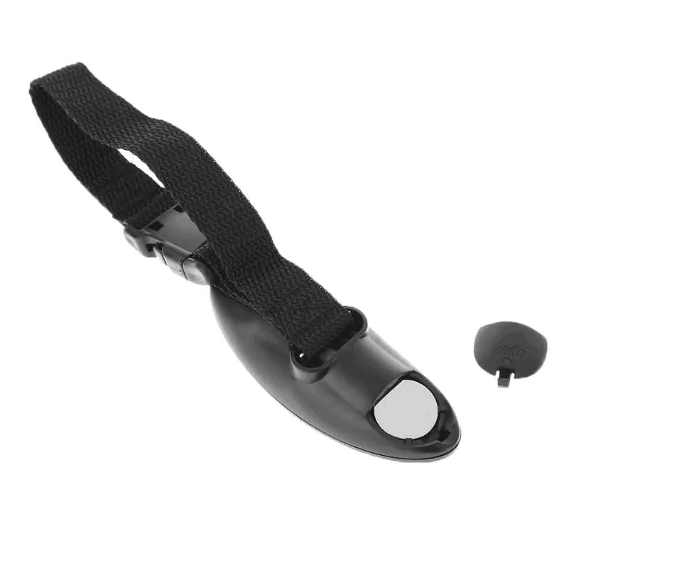 Luggage Scale