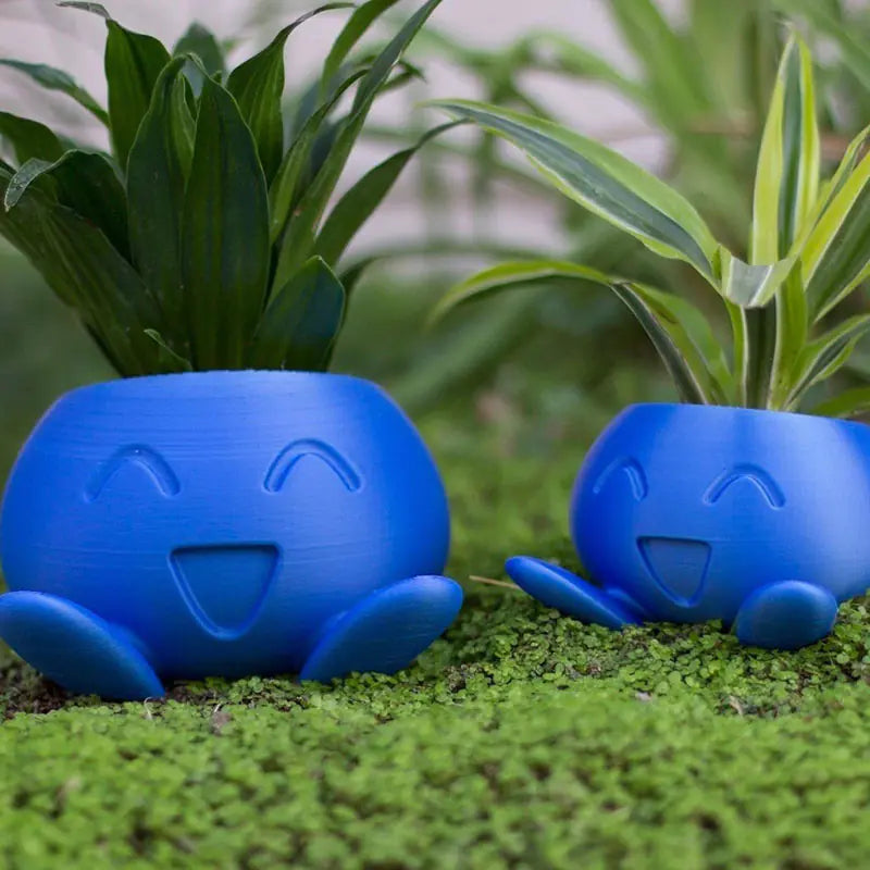 Oddish Flower Pot Planter for Succulents and Plants
