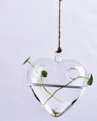 Hanging Glass Vase for Hydroponic Plants and Decor