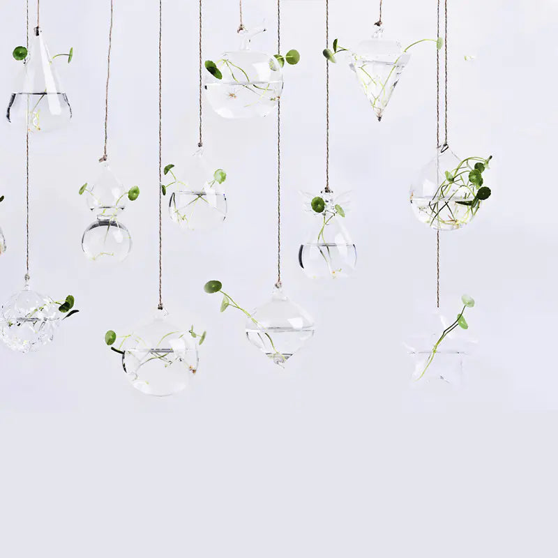 Hanging Glass Vase for Hydroponic Plants and Decor
