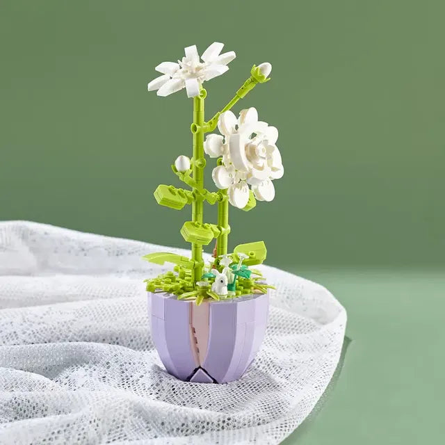 Eternal Bouquet with Succulent Potted Plants Decor