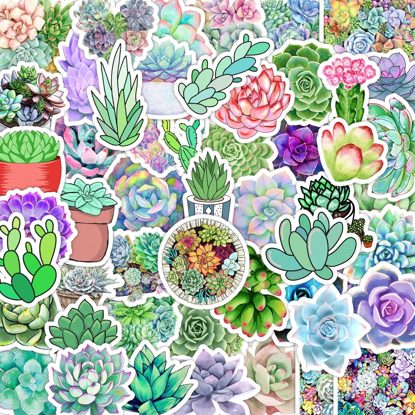 50 PCS Waterproof Succulent Plants Graffiti Stickers