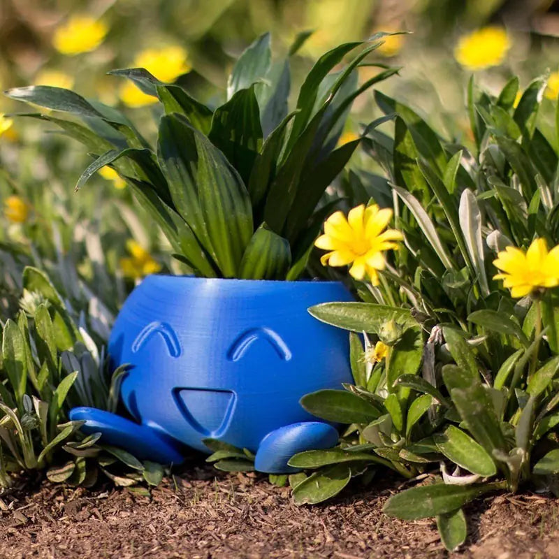 Oddish Flower Pot Planter for Succulents and Plants