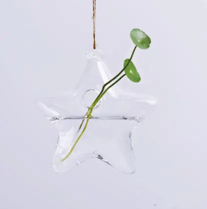 Hanging Glass Vase for Hydroponic Plants and Decor