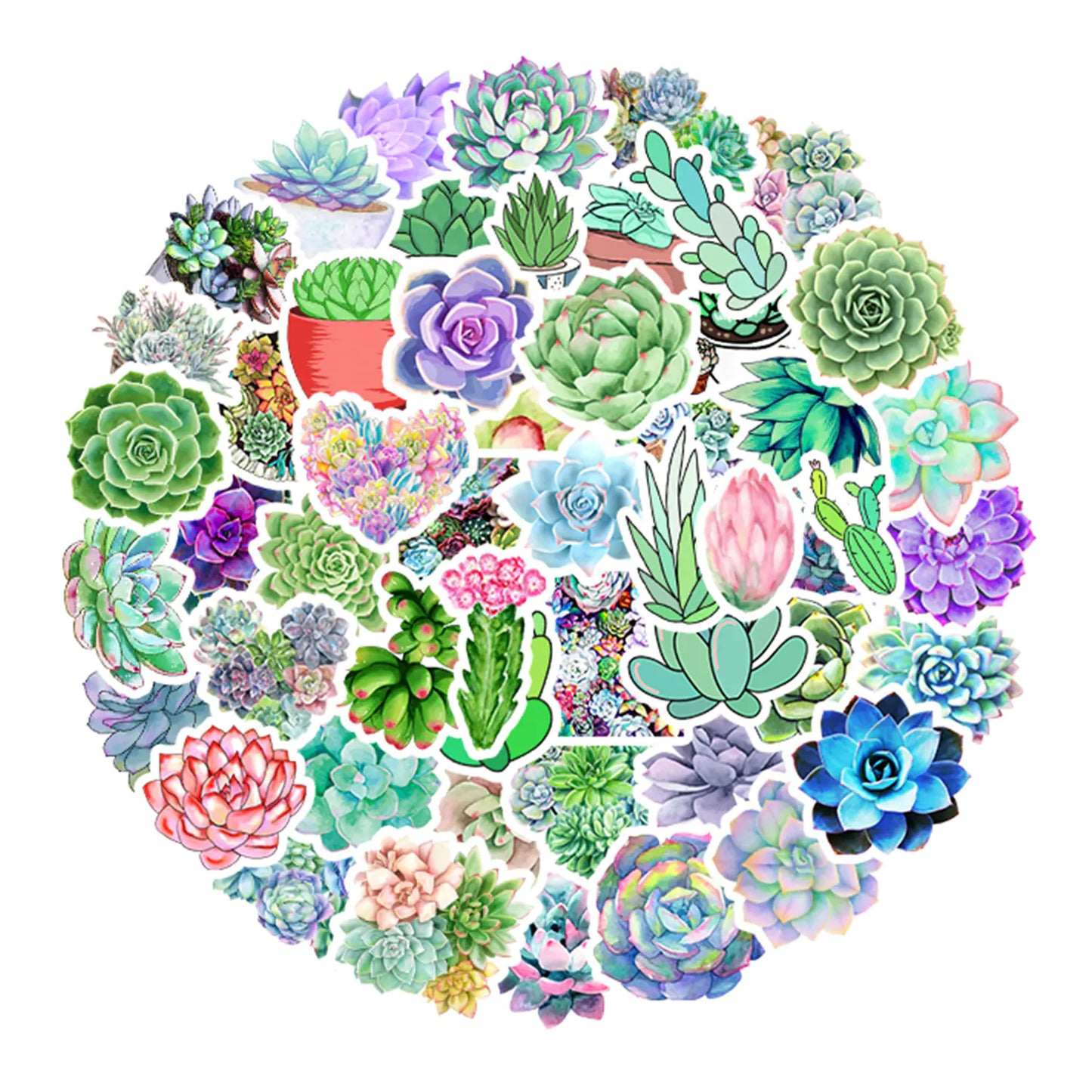 50 PCS Waterproof Succulent Plants Graffiti Stickers