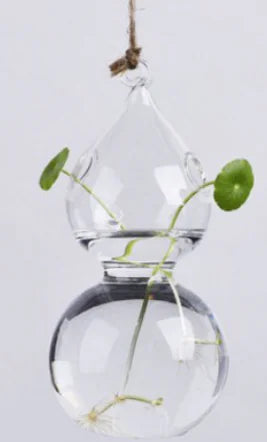 Hanging Glass Vase for Hydroponic Plants and Decor