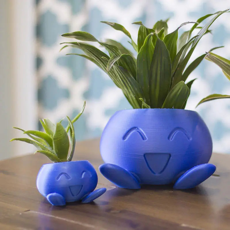 Oddish Flower Pot Planter for Succulents and Plants