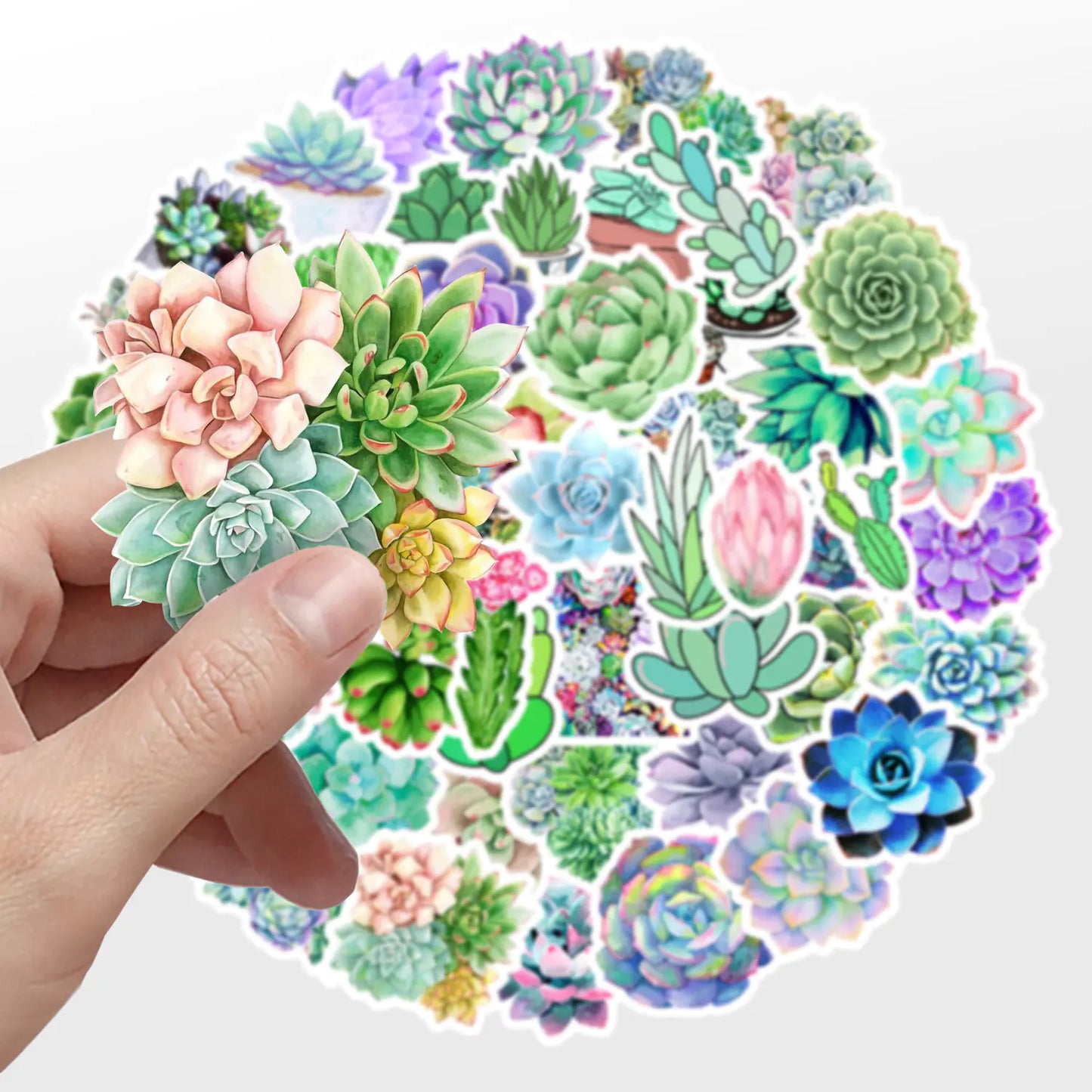 50 PCS Waterproof Succulent Plants Graffiti Stickers